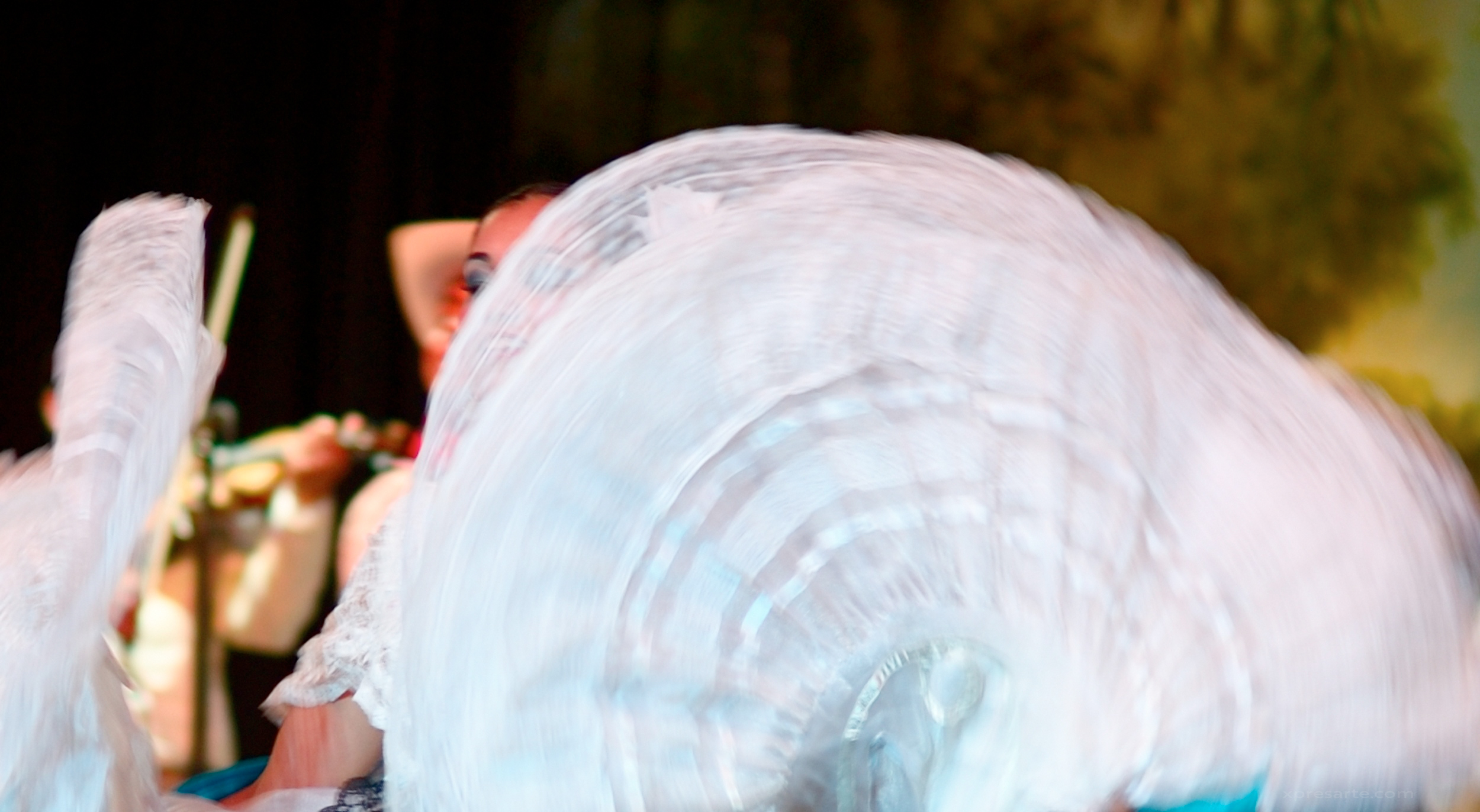 A dancer twirls her skirt in a number from the state of Veracruz